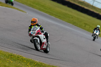 PJ-Motorsport-2019;anglesey-no-limits-trackday;anglesey-photographs;anglesey-trackday-photographs;enduro-digital-images;event-digital-images;eventdigitalimages;no-limits-trackdays;peter-wileman-photography;racing-digital-images;trac-mon;trackday-digital-images;trackday-photos;ty-croes